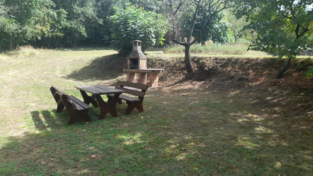 Photo of Others in Olot