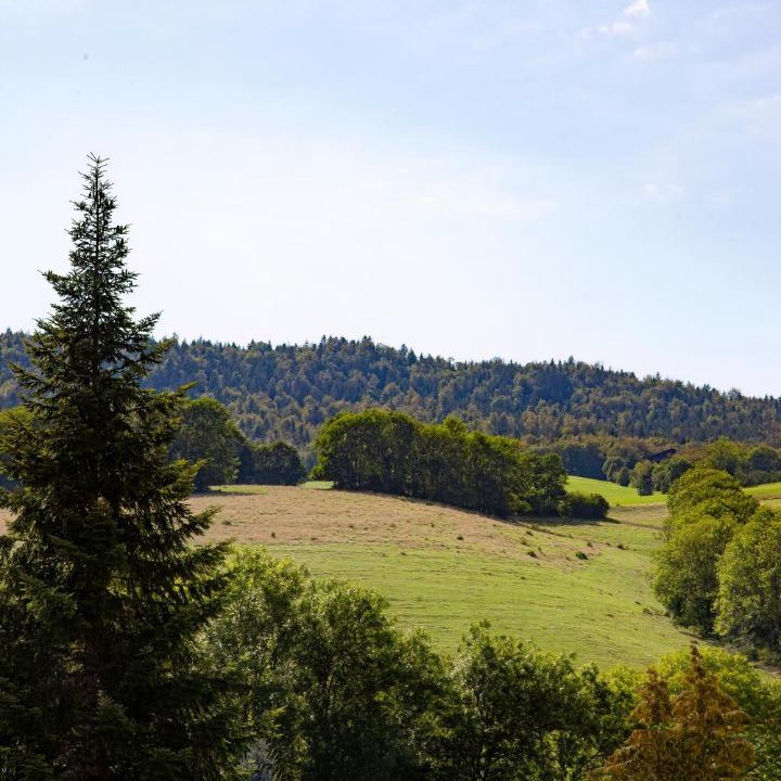 Photo of Others in Le Petit-Abergement