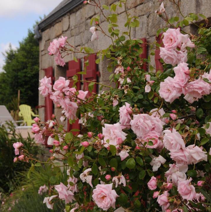 Photo of Others in Combrit