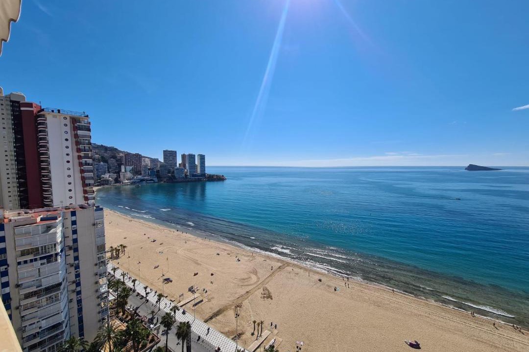 Photo of Others in Benidorm