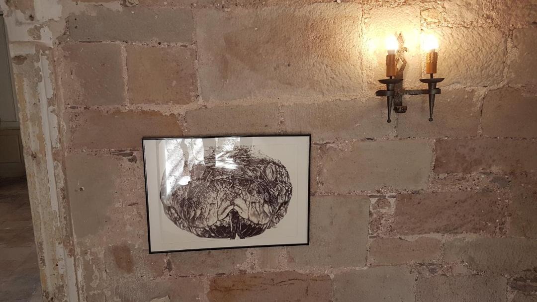 Photo of Others in Vabres-l'Abbaye