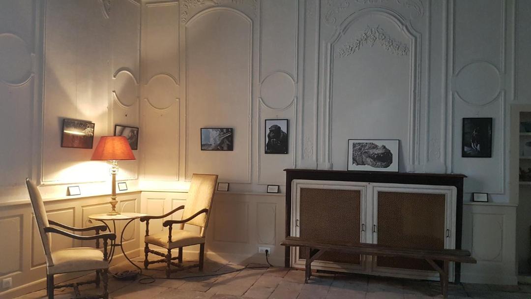 Photo of Others in Vabres-l'Abbaye