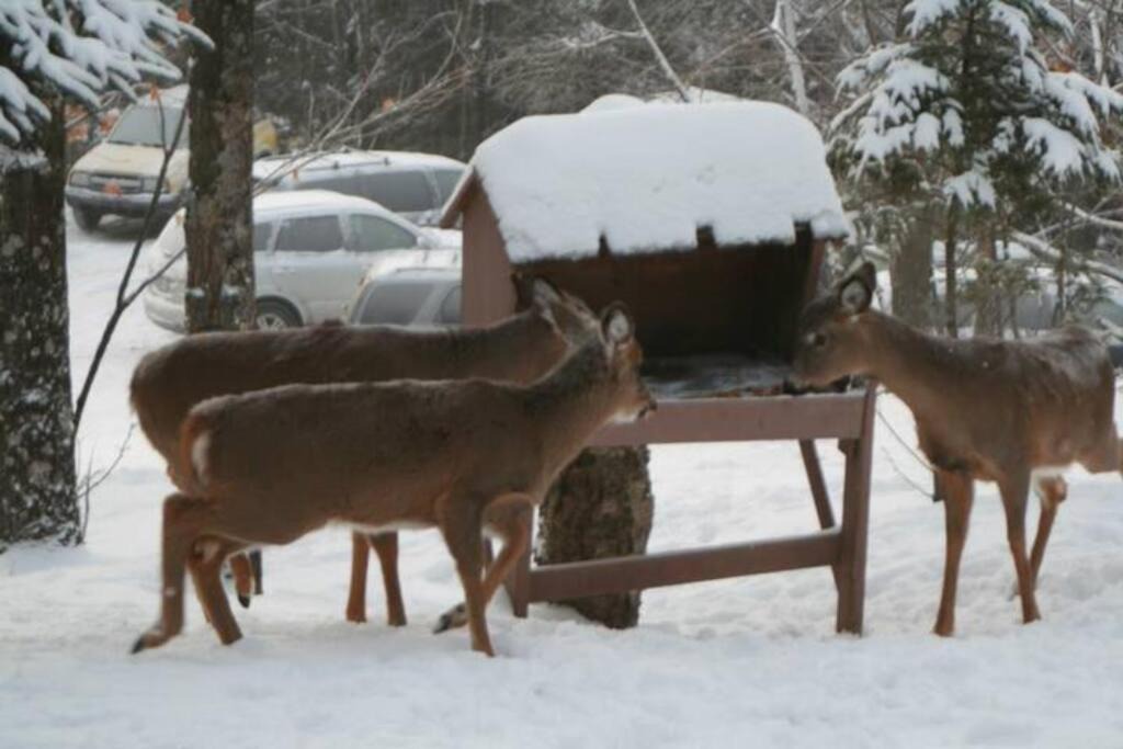 Photo of Others in Domaine Nansen