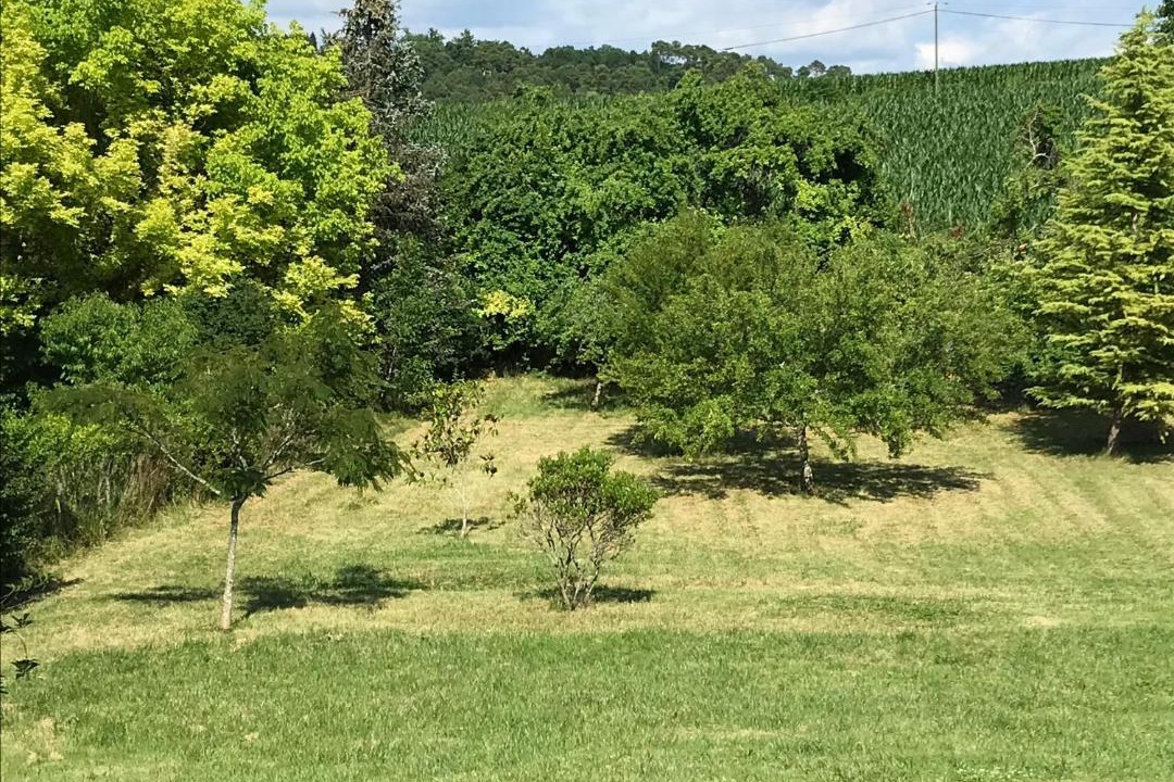 Photo of Outdoor in Saint-Astier