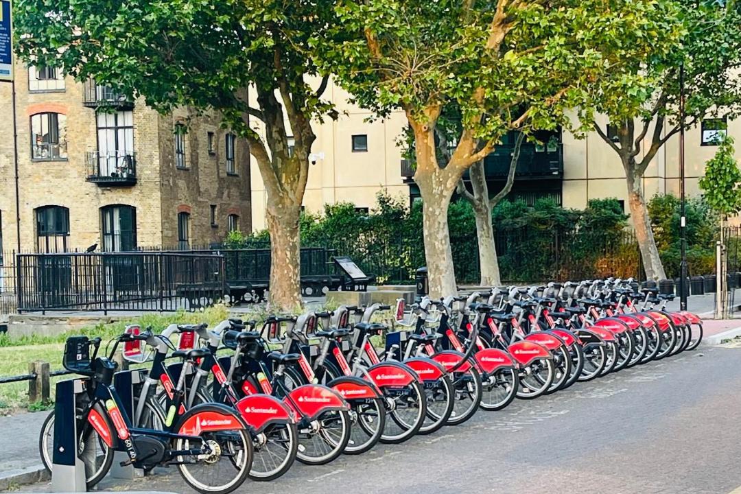 Photo of Others in Island Gardens
