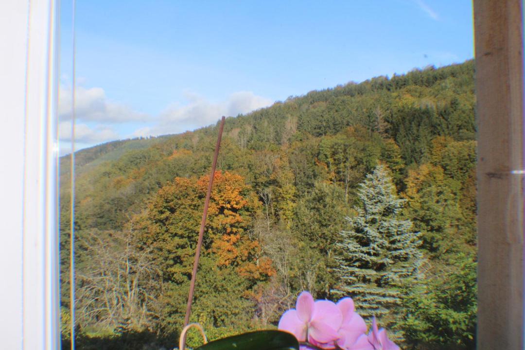 Photo of Others in Neuviller-la-Roche