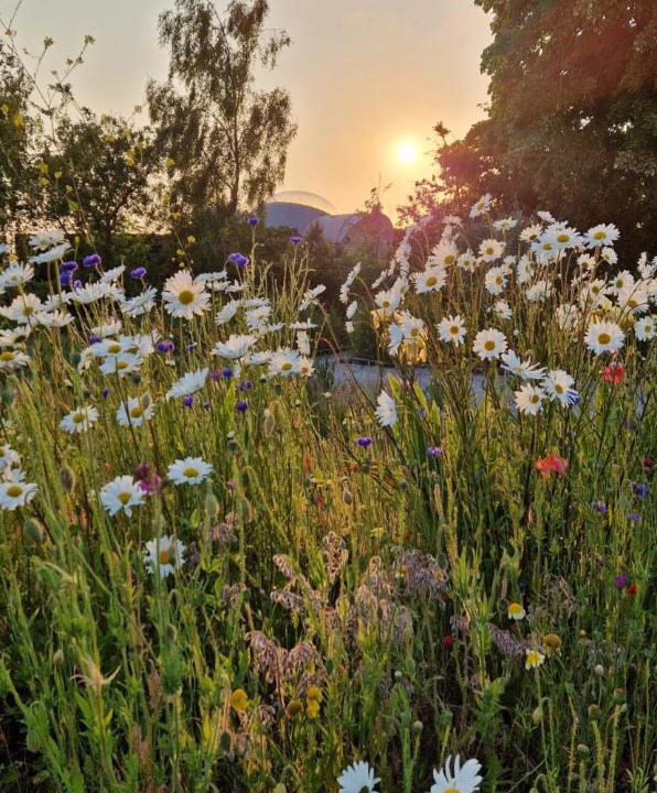 Photo of Others in Drincham