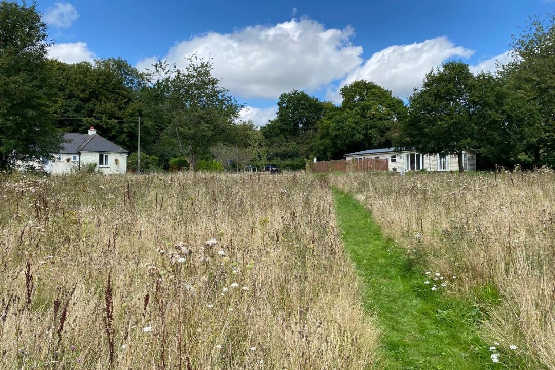 Photo of Others in Etchinghill