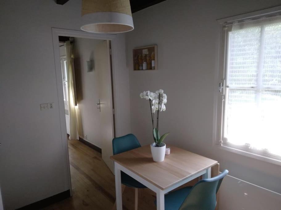 Photo of Others in Bagneres-de-Luchon