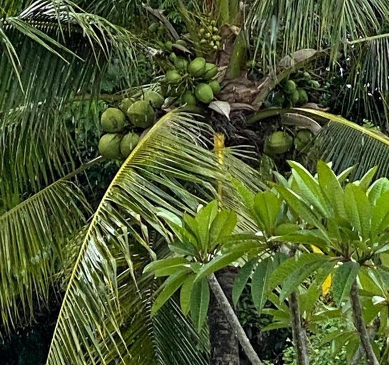 Photo of Others in Air Hangat