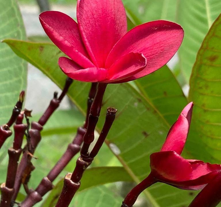 Photo of Others in Air Hangat