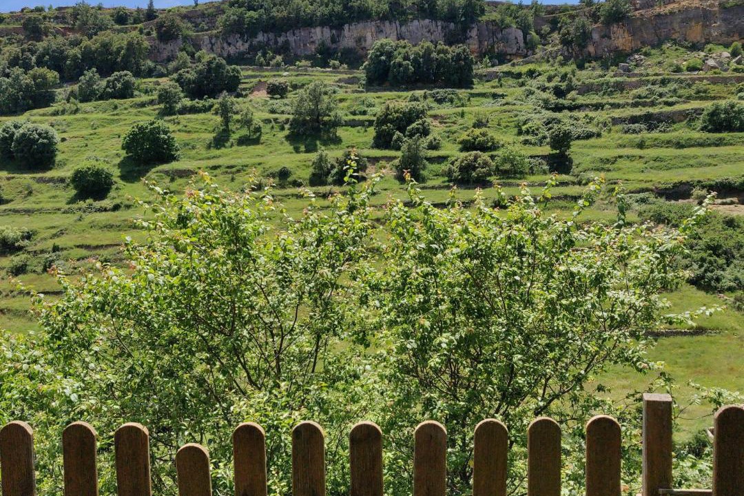 Photo of Others in Villafranca del Cid