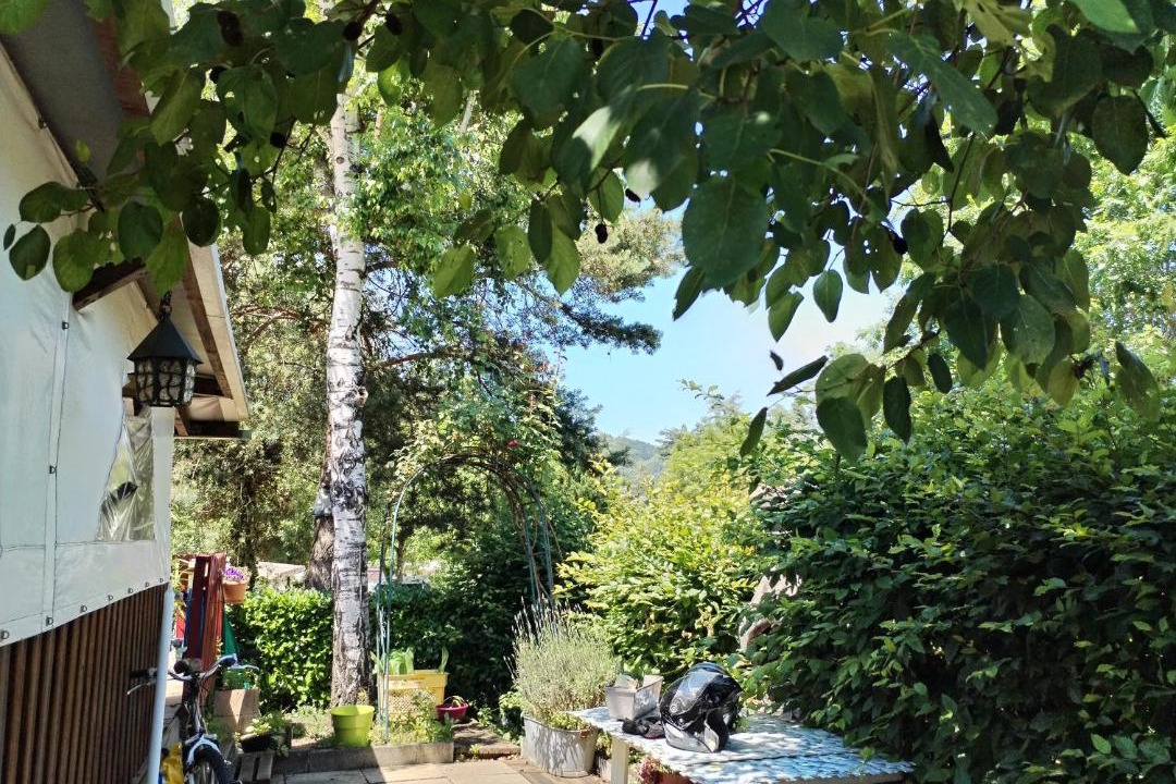 Photo of Others in Aurec-sur-Loire