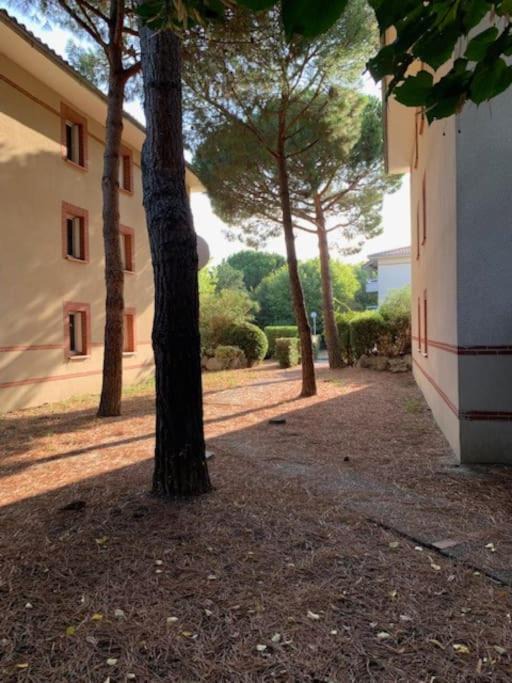 Photo of Others in Trois Cocus - Borderouge - Croix-Daurade - Paleficat
