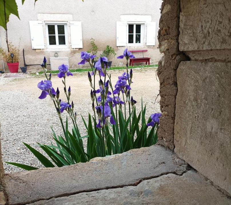 Photo of Others in Avanton