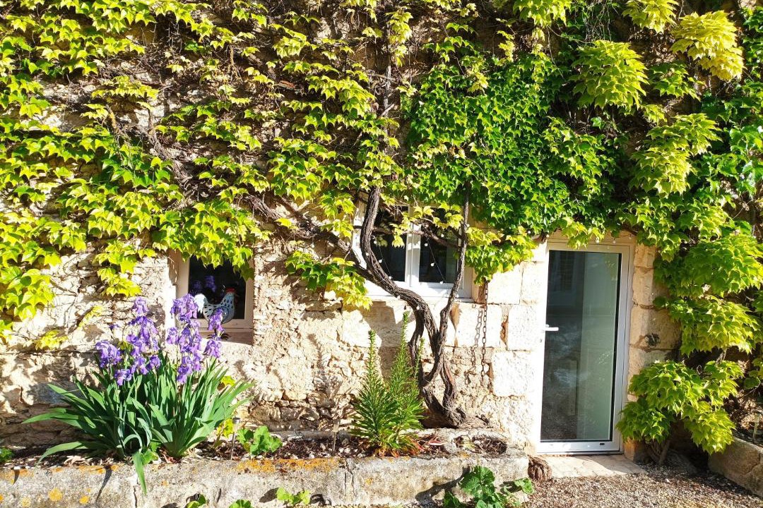 Photo of Others in Avanton