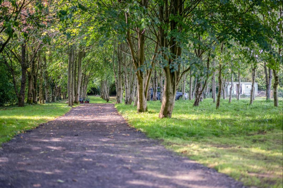 Photo of Others in Bradford-on-Avon