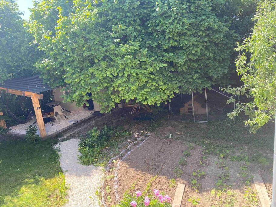 Photo of Others in Sivry-sur-Meuse