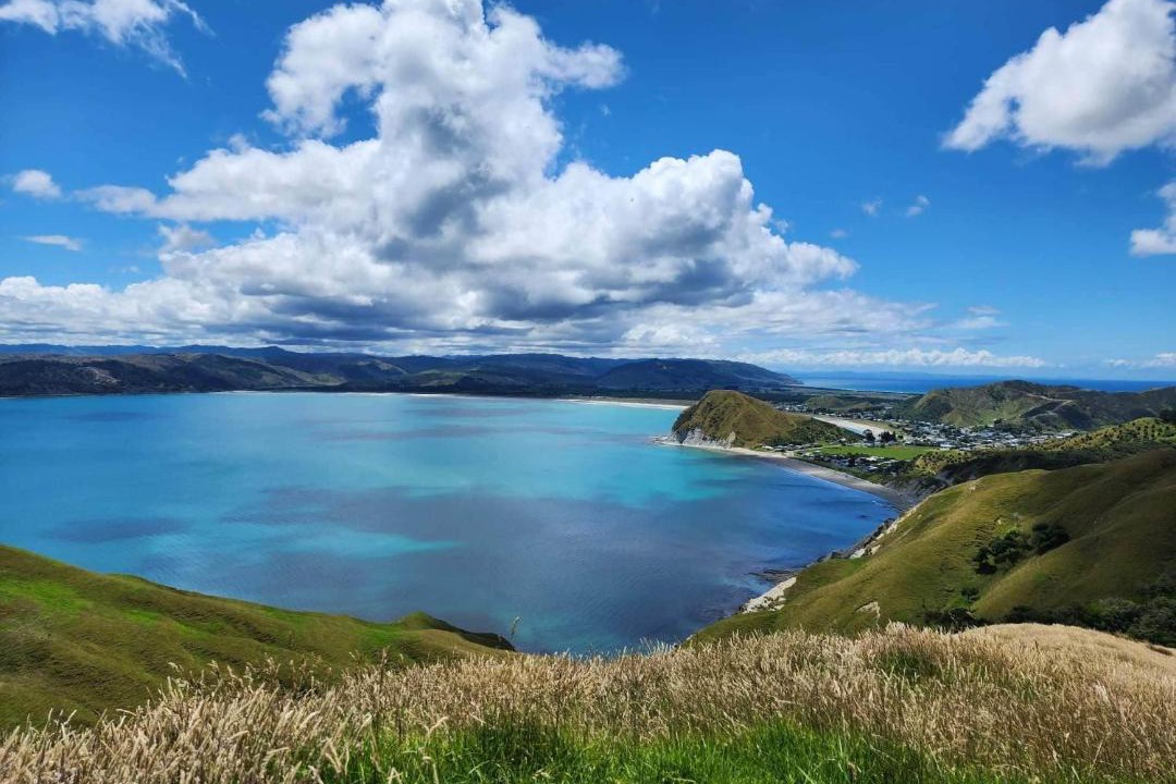 Photo of Outdoor in Mahia