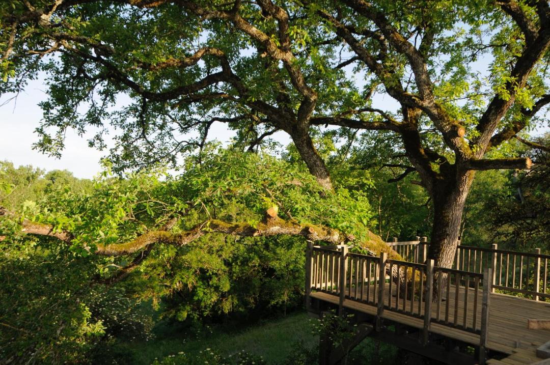 Photo of Others in Labastide-Gabausse