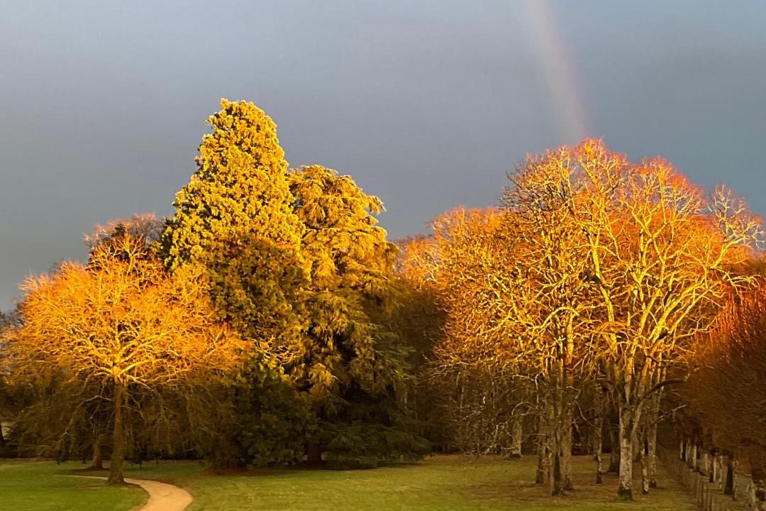 Photo of Others in Azay-sur-Cher