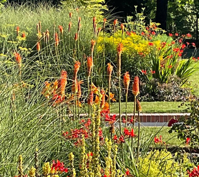 Photo of Others in Azay-sur-Cher