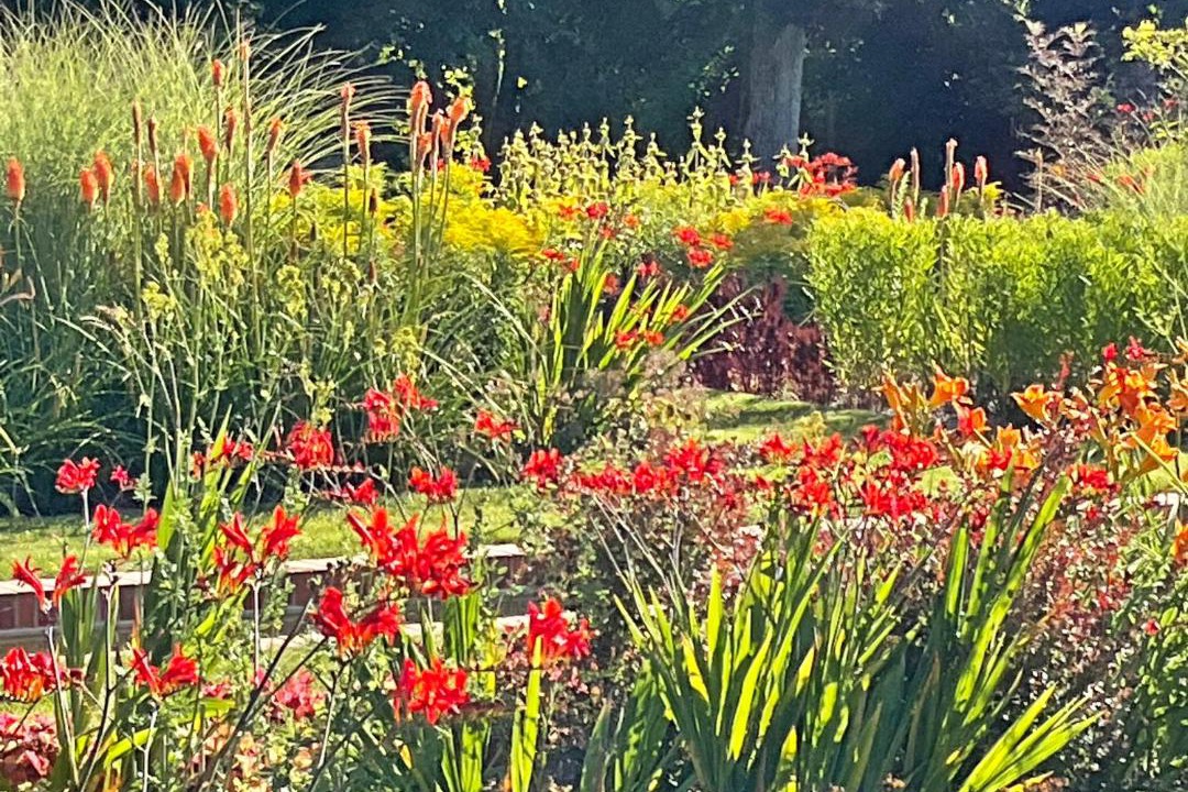 Photo of Others in Azay-sur-Cher
