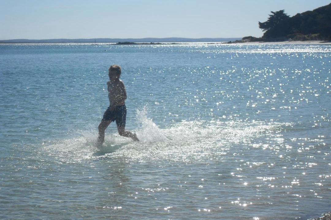 Photo of Others in Rangiputa