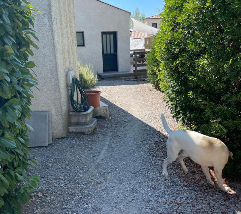 Photo of Others in Montaud