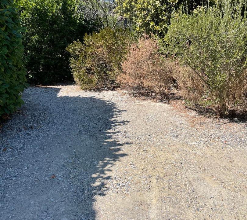 Photo of Others in Montaud