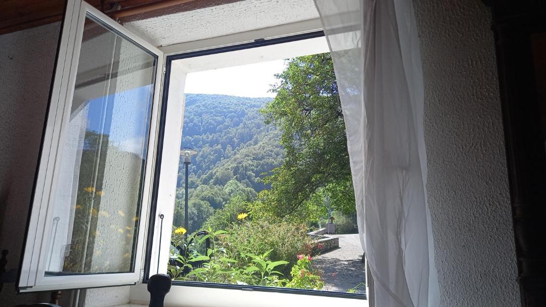 Photo of Others in Herran