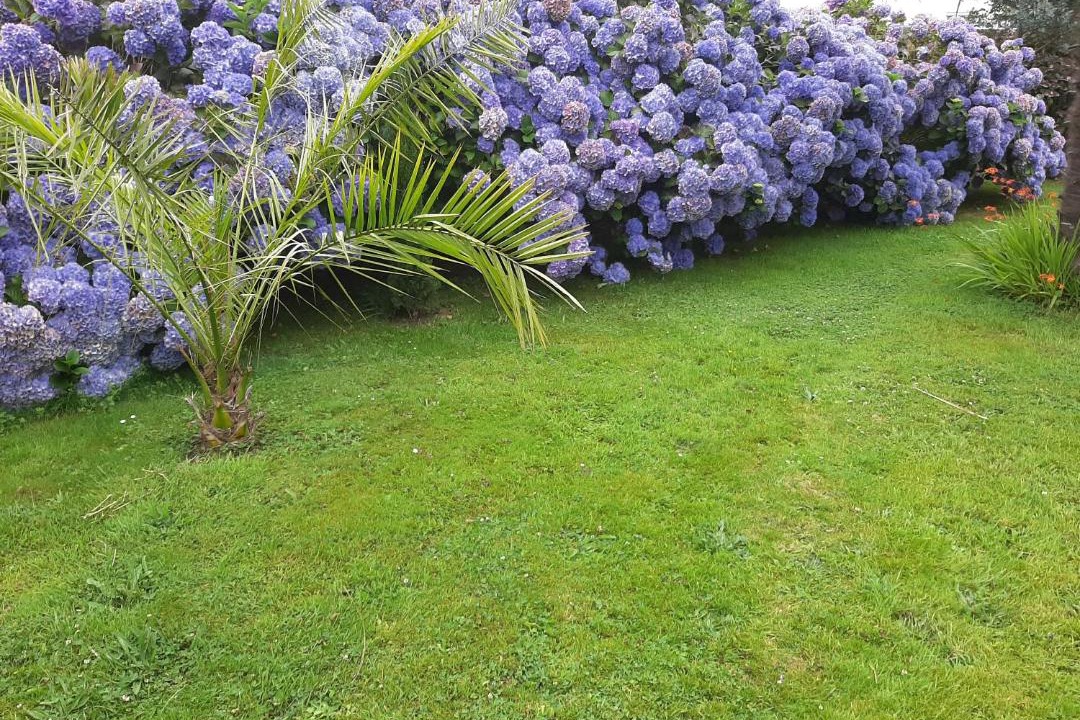 Photo of Others in St.-Martin-des-Champs