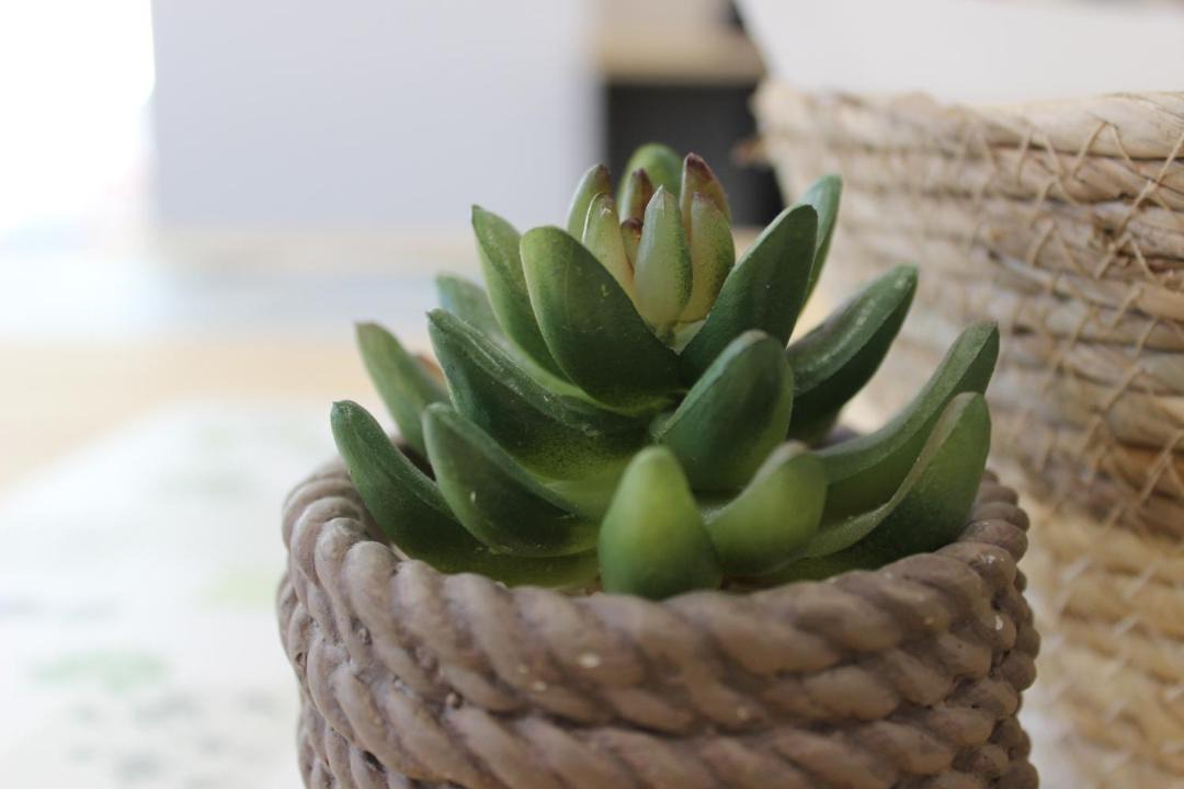 Photo of Others in Besancon