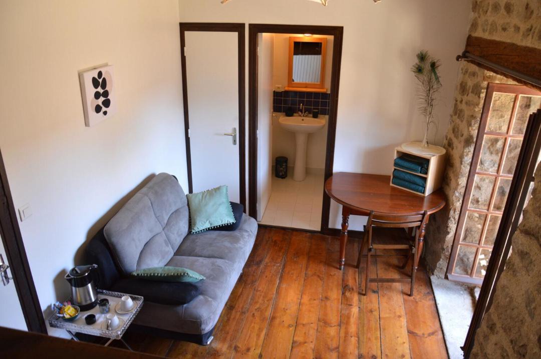 Photo of Others in Felines