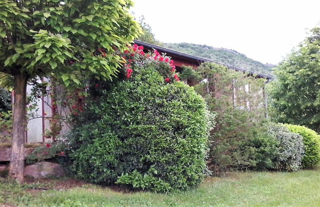 Photo of Others in Clairvaux-d'Aveyron