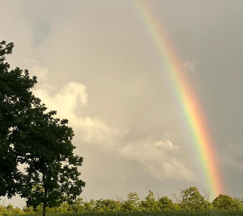 Photo of Others in Hejnsvig