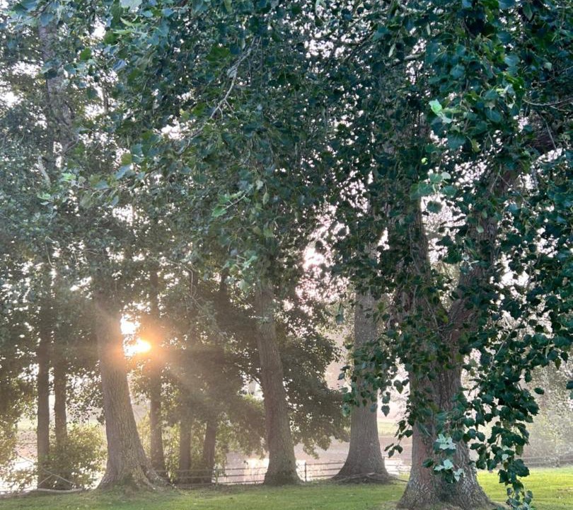 Photo of Others in Saint-Germain-de-Varreville