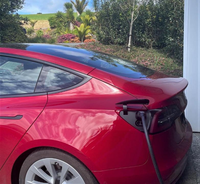 Photo of Outdoor in Kerikeri