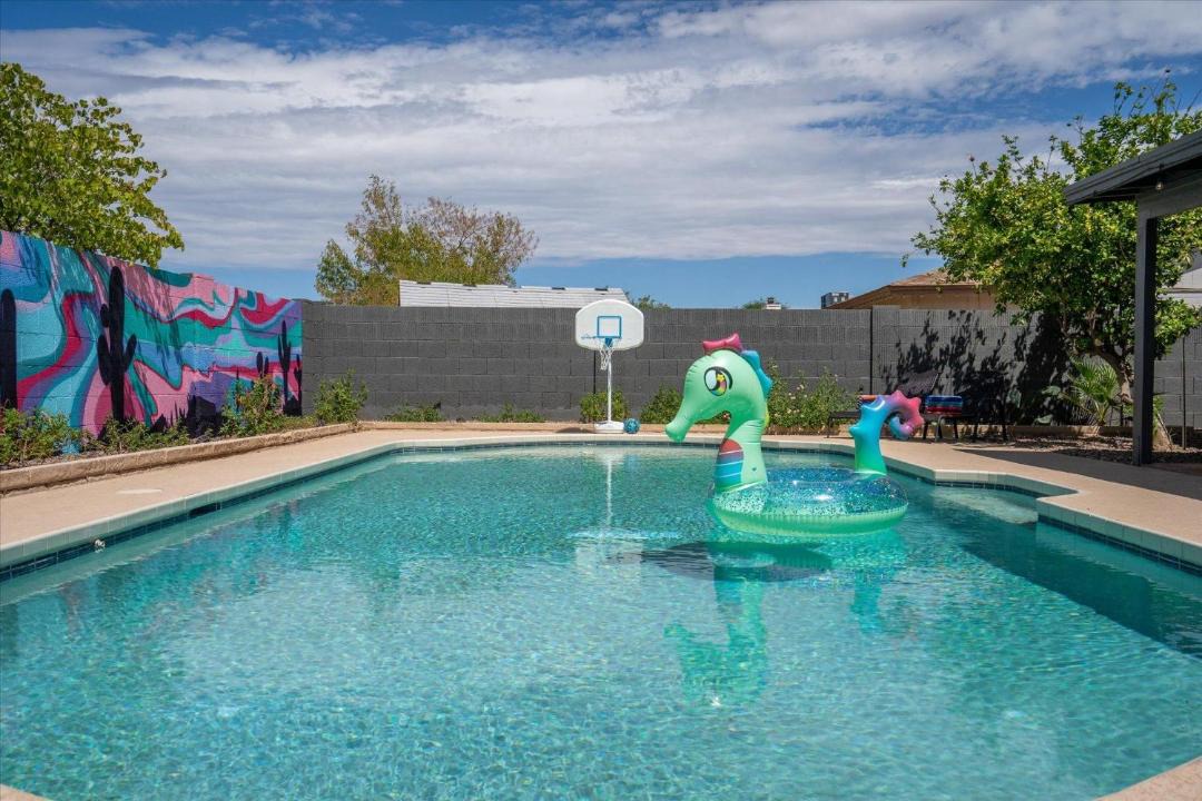 Photo of Others in Tempe