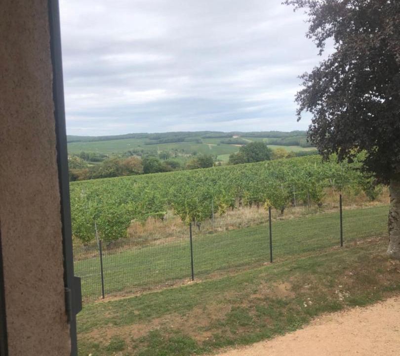 Photo of Others in Burgy