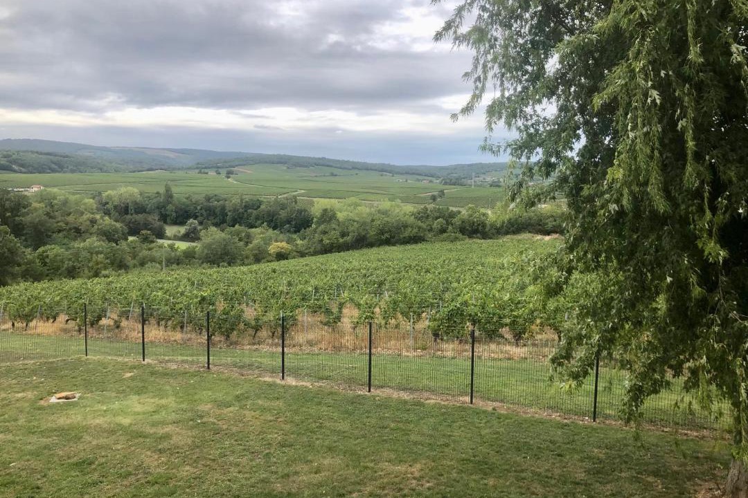 Photo of Others in Burgy