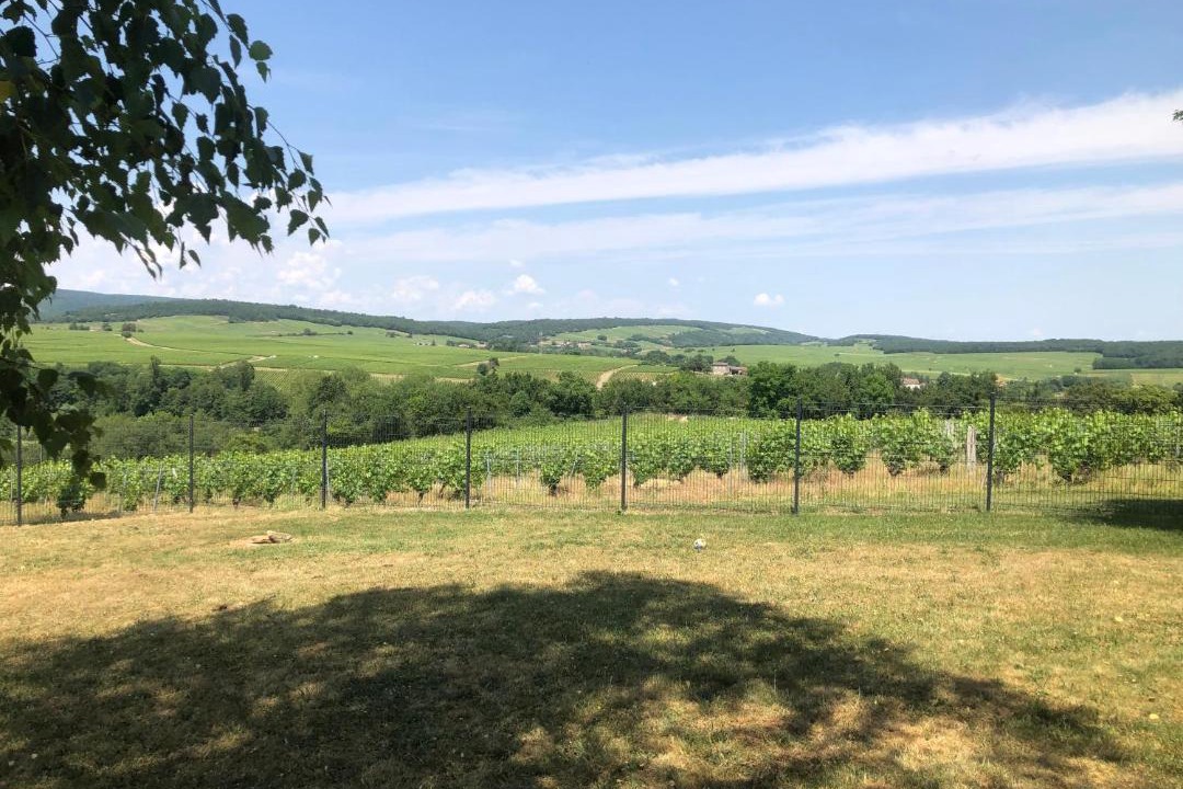 Photo of Others in Burgy