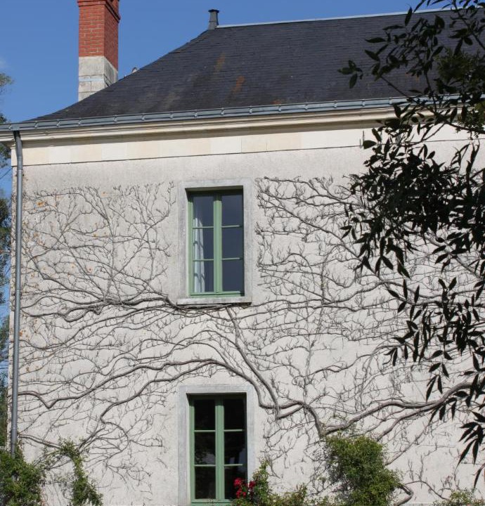 Photo of Buildings in Chartrene