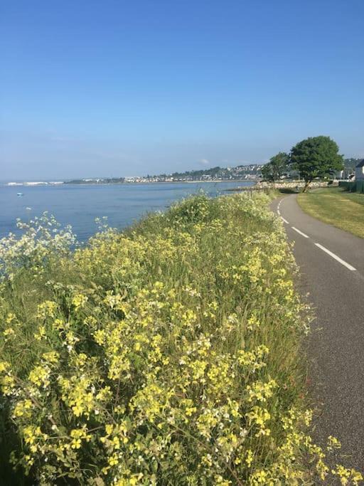 Photo of Outdoor in Equeurdreville-Hainneville