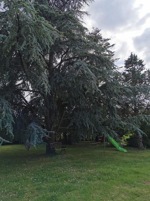 Photo of Outdoor in Genets