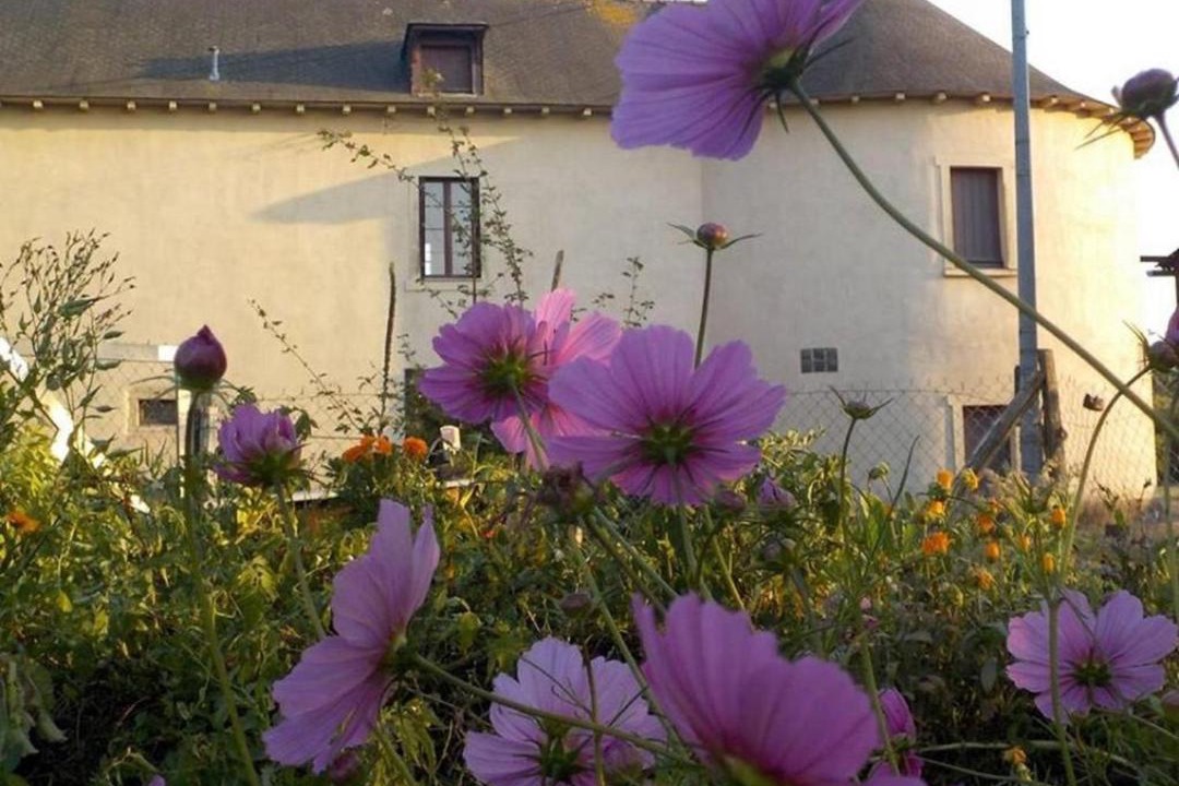 Photo of Others in Chavagne