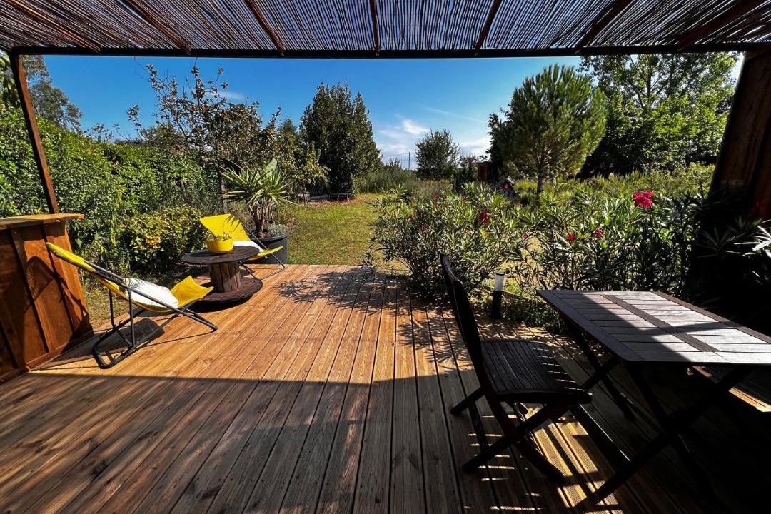 Photo of Others in Mazion