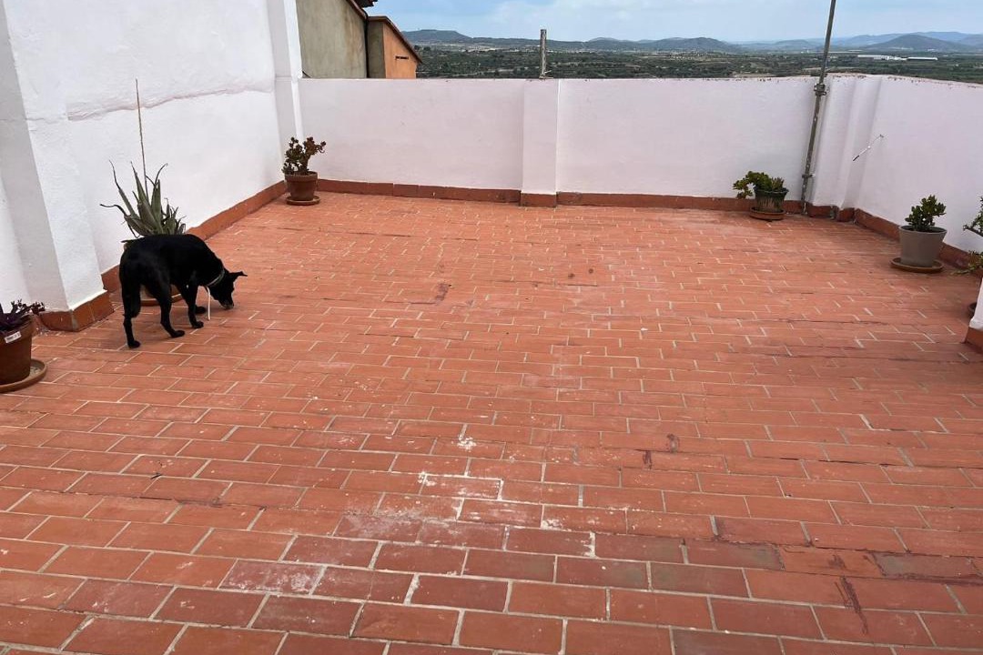 Photo of Others in Villar del Arzobispo
