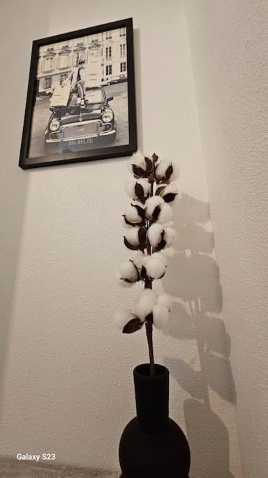 Photo of Others in Lievin