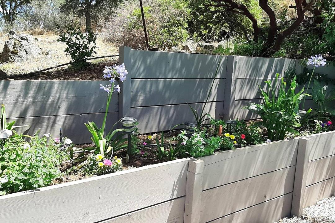 Photo of Others in Rancho Calaveras